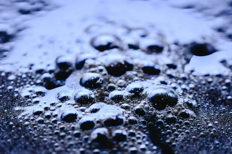 El café que tomas: 5 cosas que tu cuerpo hace después de cada sorbo y que nadie te contó