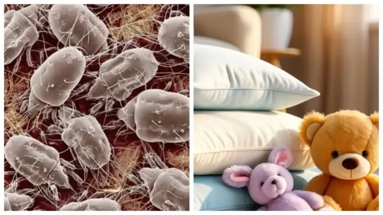 El frío como aliado: 5 usos del hielo para limpiar y desinfectar tu hogar