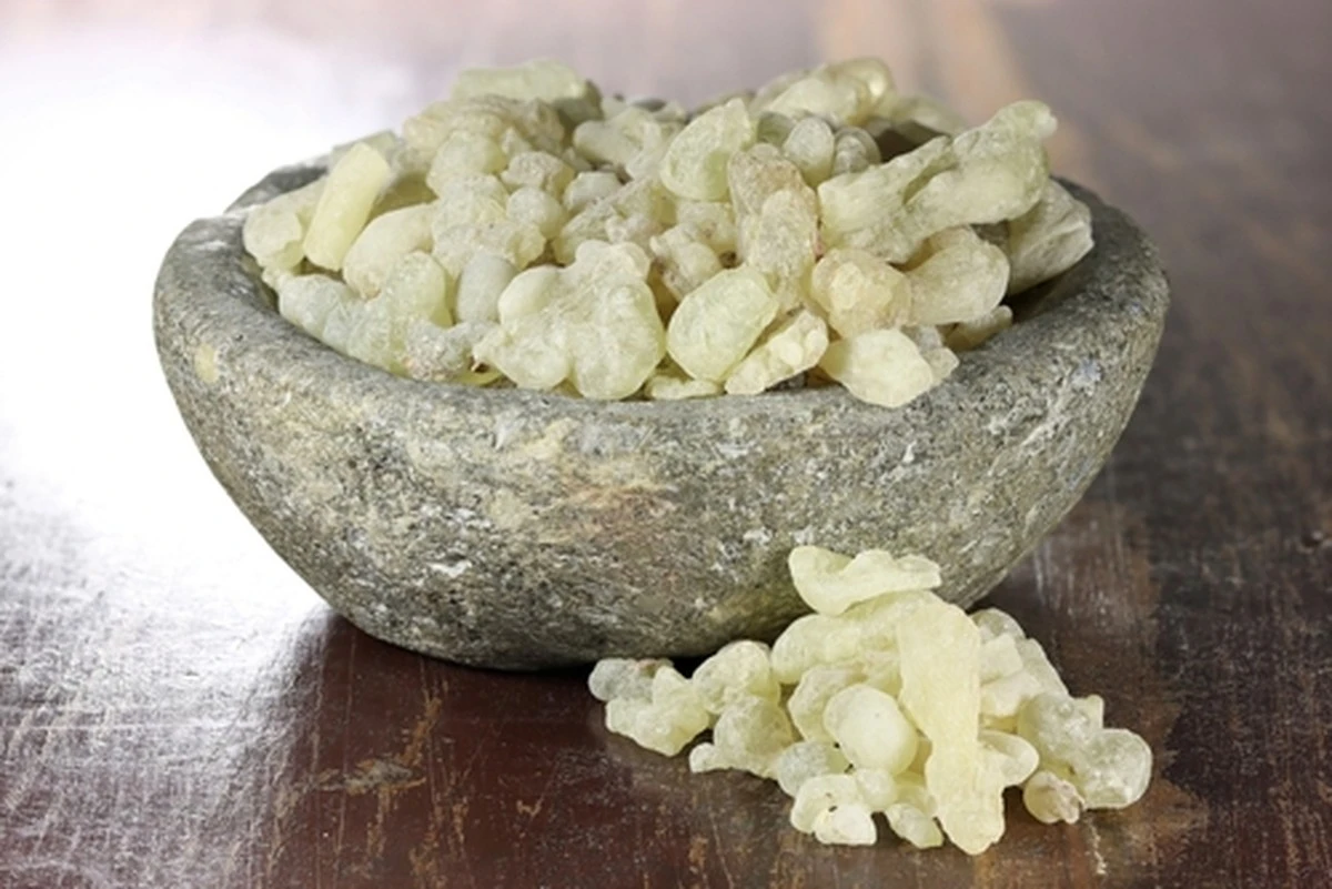 El incienso, resina sagrada: Usos olvidados y cómo reconocer su calidad