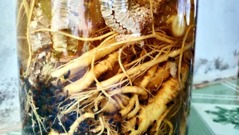 El secreto de los coreanos: cómo un producto diario los mantiene llenos de energía y rara vez enfermos