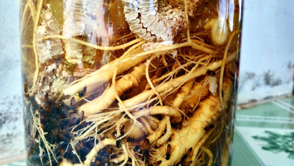 El secreto de los coreanos: cómo un producto diario los mantiene llenos de energía y rara vez enfermos