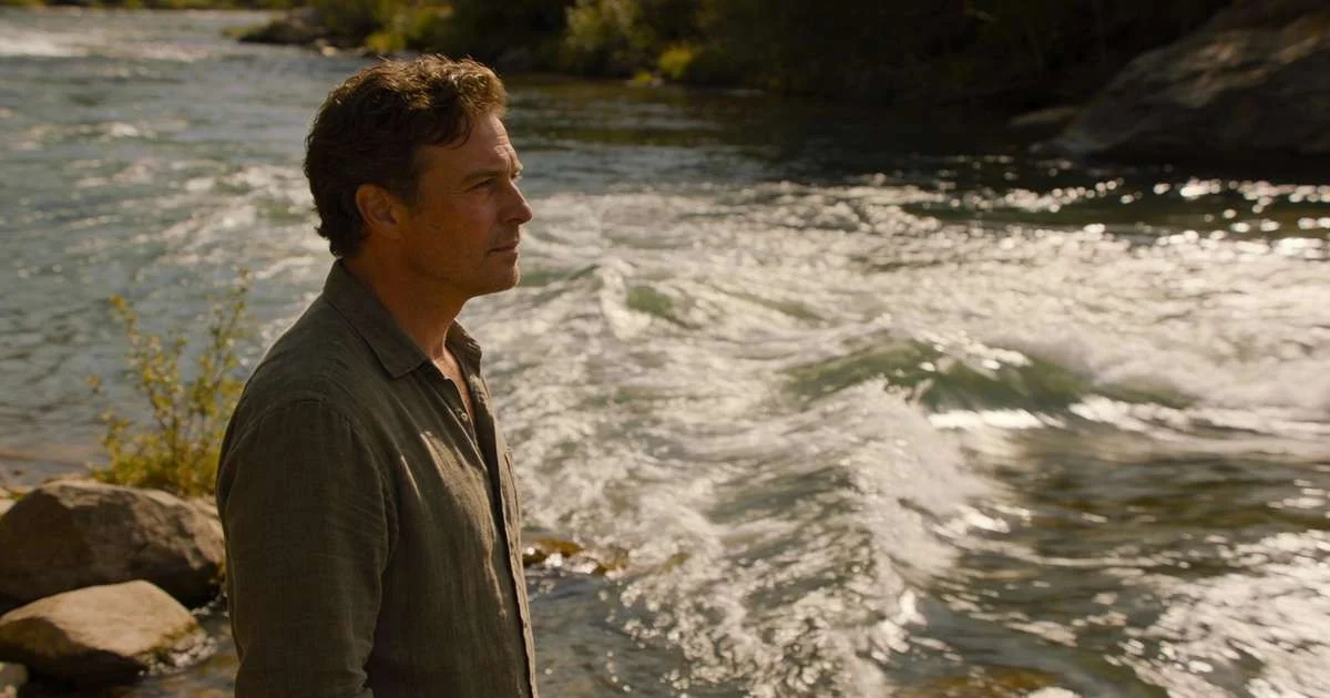 El secreto de los jardineros expertos: Por qué siempre ponen una esponja en el fondo de la maceta