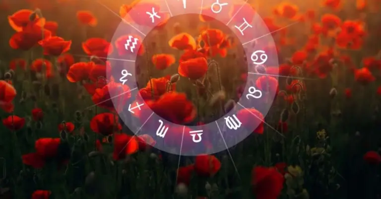 El truco de los jardineros expertos para que tus plantas no mueran en invierno