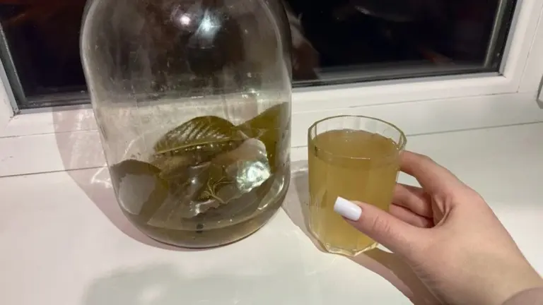 No tires el líquido de los pepinillos: 3 trucos que transformarán tus purés, sopas y cremas