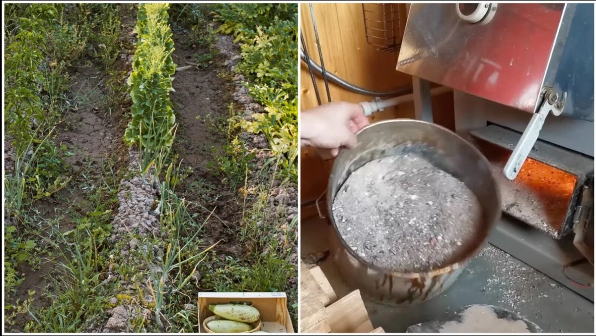 Teta Zita comparte su secreto: Cómo usar las cenizas de tu chimenea para un jardín próspero