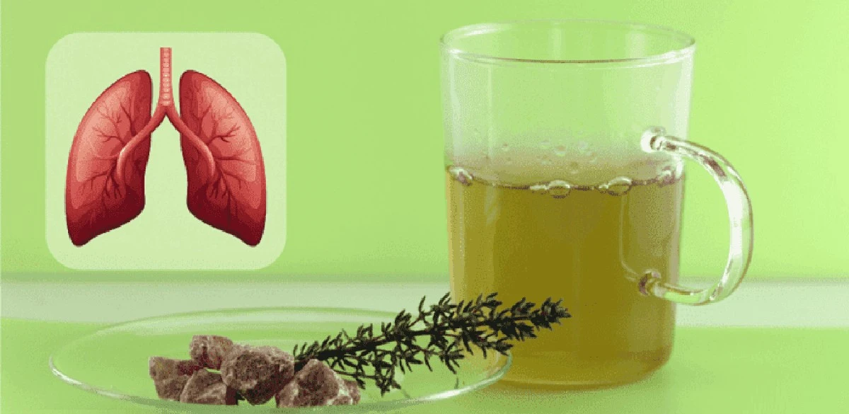 Tomillo: La hierba que nuestros abuelos consideraban una farmacia casera