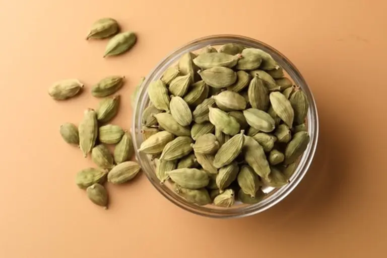Verde cardamomo: la especia que vale casi como oro
