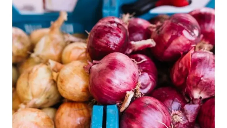 4 formas de elegir siempre cebollas frescas que los vendedores nunca te dirán