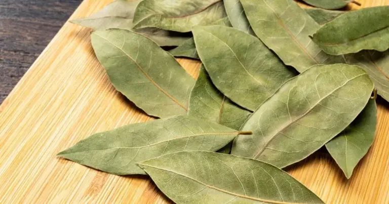 4 rituales con laurel para atraer la buena fortuna este mes