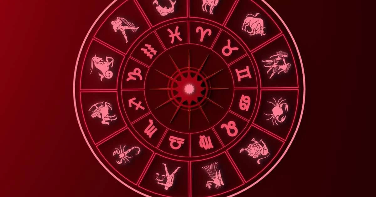 5 señales de que tu planta te pide ayuda (y cómo rescatarla)