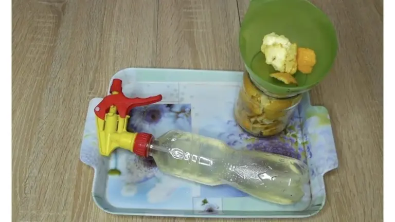 Adiós a los Limpadores Químicos: El Secreto de Mi Vecina Revela Cómo Usar las Cáscaras de Limón para una Casa Impecable