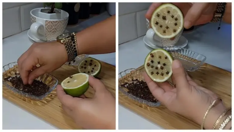 Clavo en limón: El truco casero que elimina malos olores y repele insectos