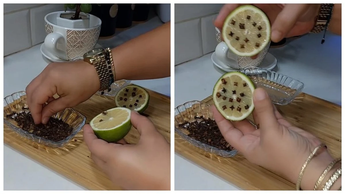 Clavo en limón: El truco casero que elimina malos olores y repele insectos