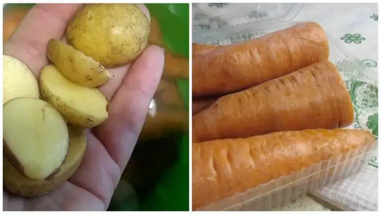 Como hacer que las zanahorias marchitas vuelvan a estar crujientes con un ingrediente secreto