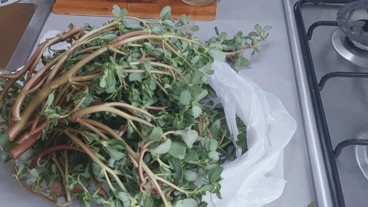 Descubrí la "mala hierba" que rejuvenece tu piel y da brillo a tu cabello en una semana