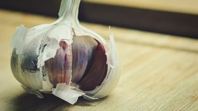 Detente: no agregues cenizas ni sal al ajo en diciembre