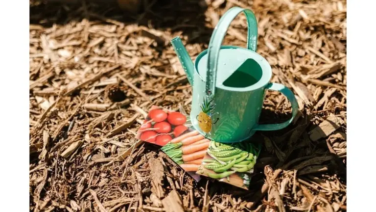 Dos gotas bastan para que germinen hasta las semillas viejas: prueba este método