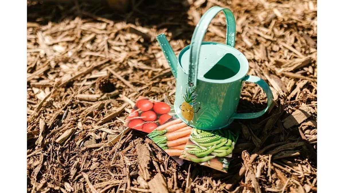 Dos gotas bastan para que germinen hasta las semillas viejas: prueba este método