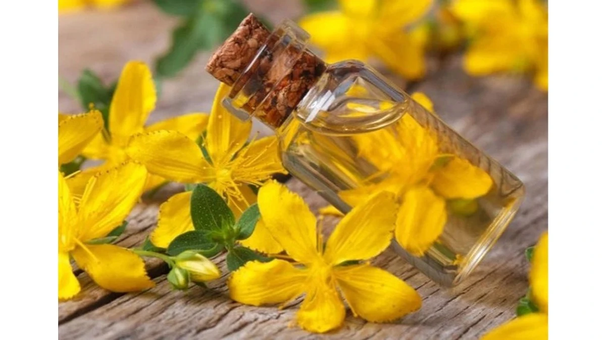 El aceite casero que alivia 10 dolencias: el secreto mejor guardado en tu despensa