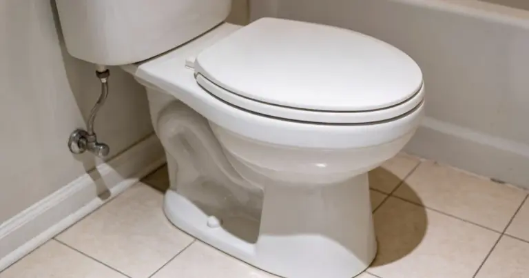 El gesto invisible al usar el inodoro que todos ignoran (y su impacto en tu salud)