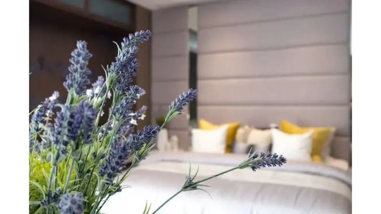 El poderoso secreto de las lavandas: cómo transformar tu hogar de energía negativa a paz total