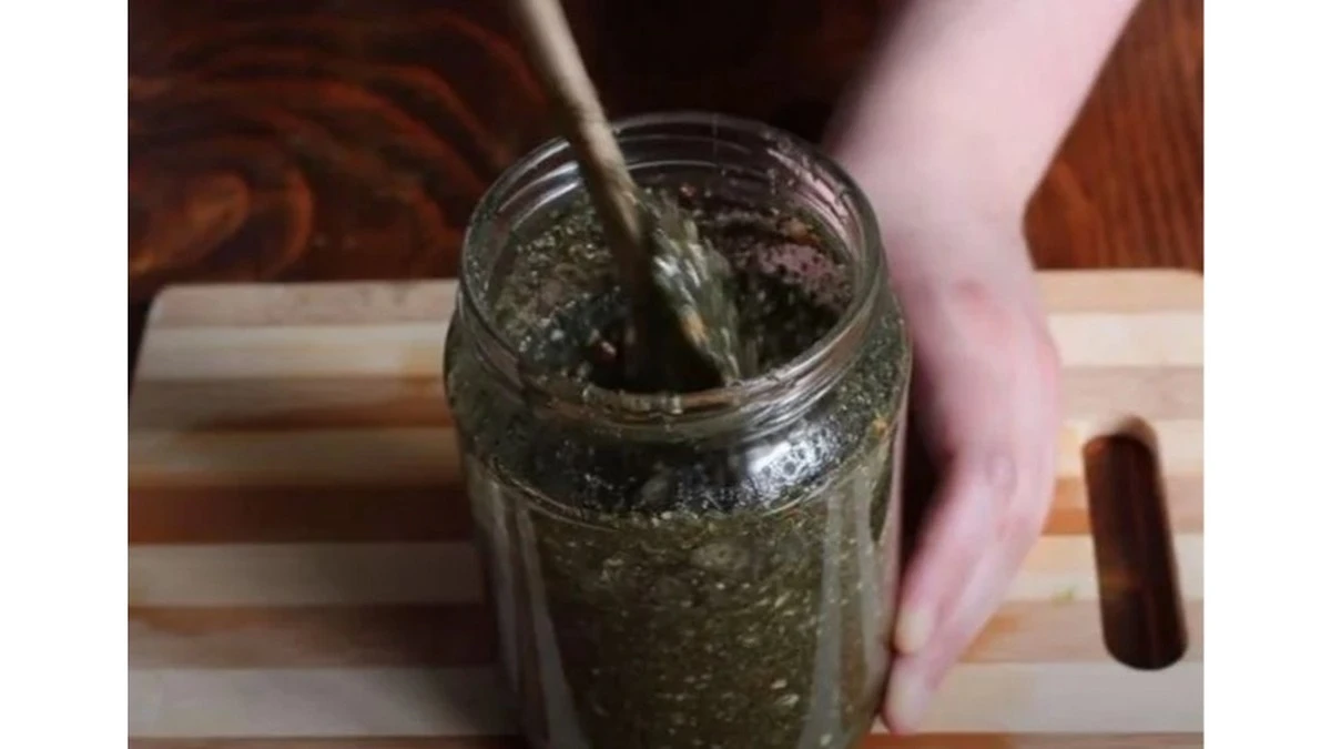 El Remedio Serbio Que Transforma Tu Sangre Con Una Cucharada Diaria