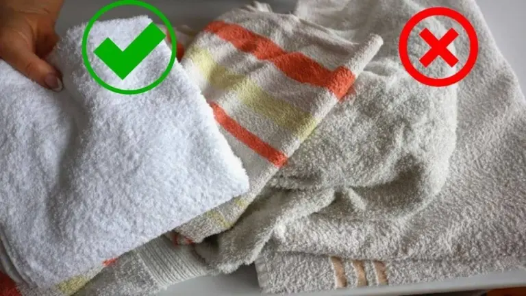 El secreto de limpieza japonés: 3 cucharadas de esta especia para dejar tus paños de cocina como nuevos