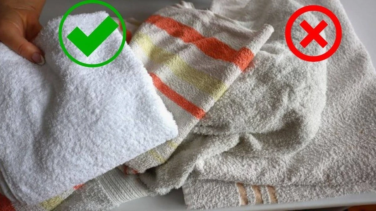 El secreto de limpieza japonés: 3 cucharadas de esta especia para dejar tus paños de cocina como nuevos