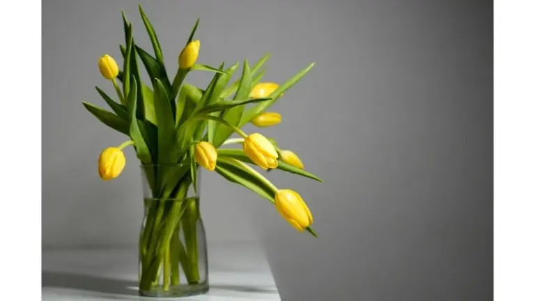 El secreto de los floristas: así haces que las tulipas en tu jarrón duren el doble