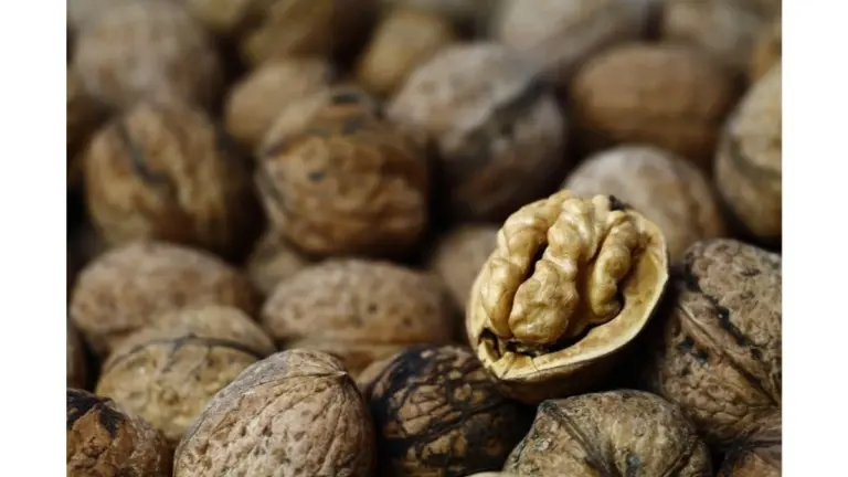 El secreto de mi abuela de 1983 para nueces perfectas: deja de arruinar tu cosecha