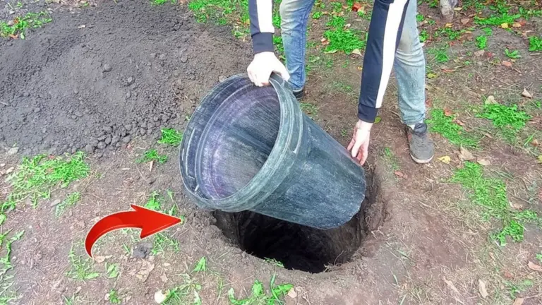 Enterrando un bidón de plástico: el truco de mi abuela para tener una nevera sin luz en verano