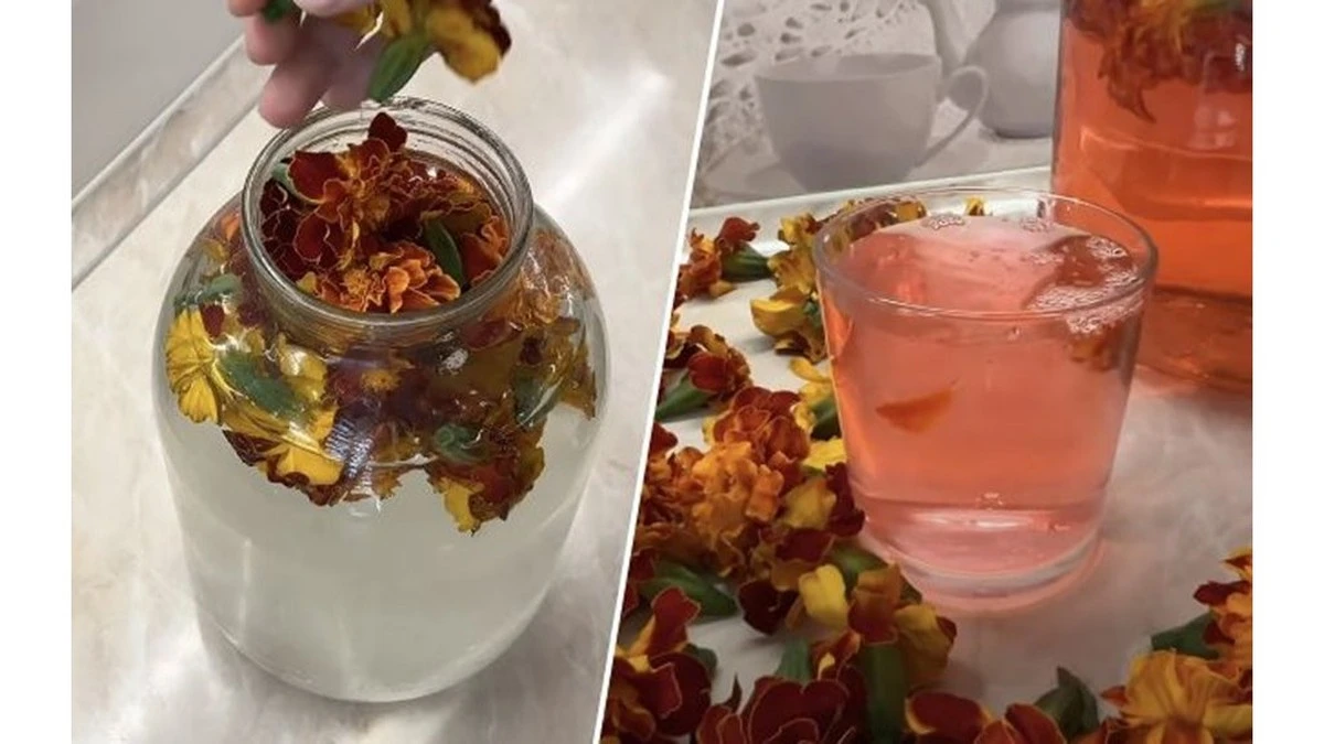 La cerveza de caléndula de las abuelas: el secreto de un refresco ancestral