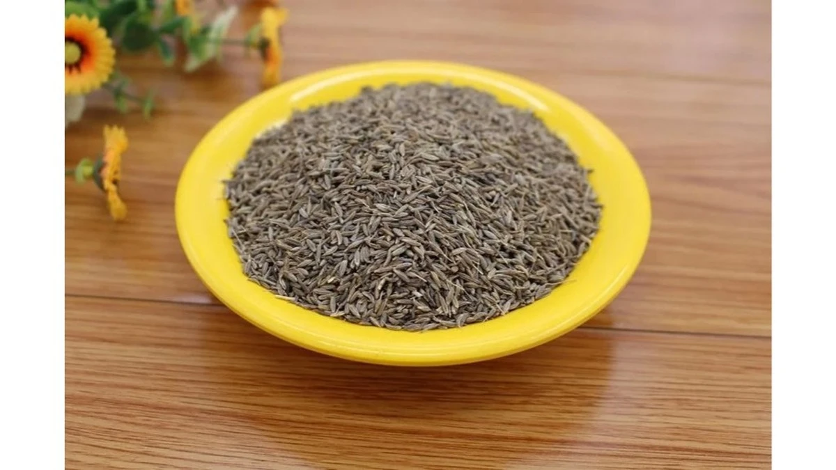 La especia milenaria mencionada en textos sagrados: "cura todo, menos la muerte"