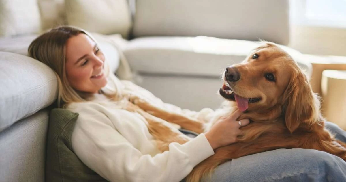 La leishmaniosis canina: Identifica sus síntomas ocultos y cómo se contagia