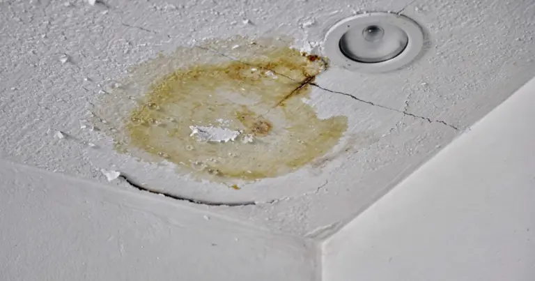 La mancha de humedad en el techo: Señal de alerta que esconde riesgos estructurales y de salud