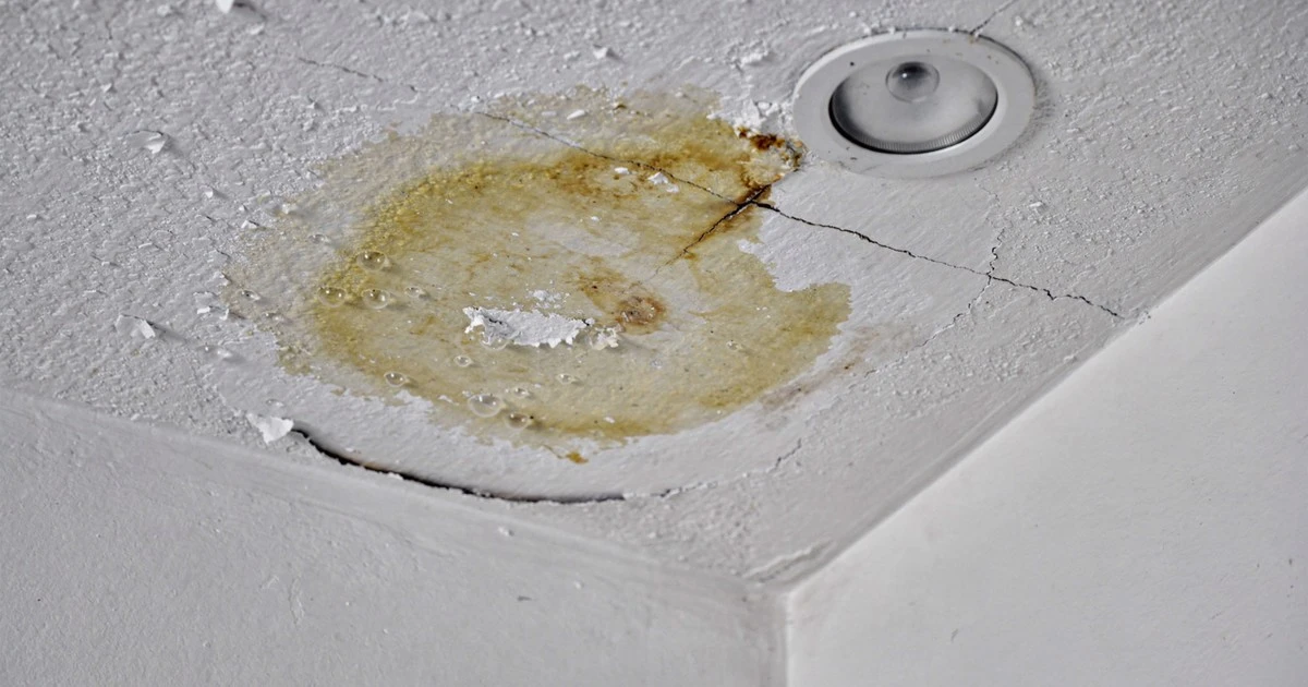 La mancha de humedad en el techo: Señal de alerta que esconde riesgos estructurales y de salud