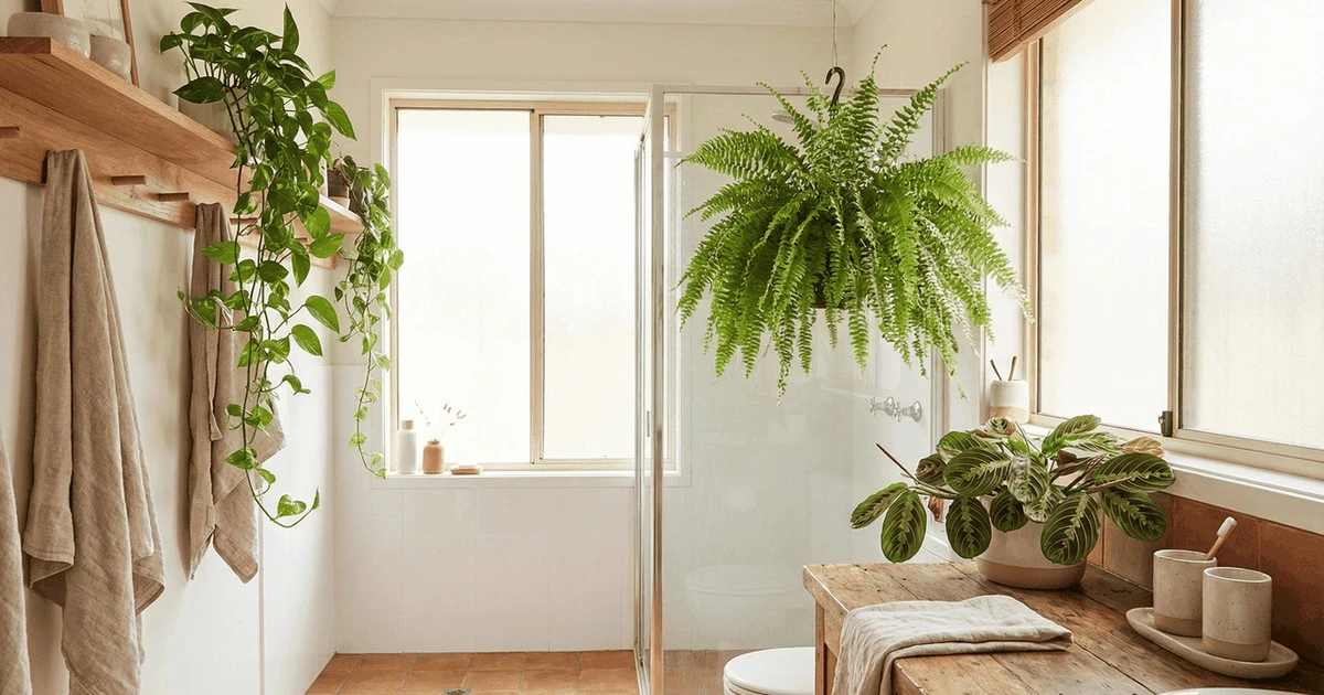 Las 3 plantas perfectas para tu baño que aman la humedad y son clones para principiantes
