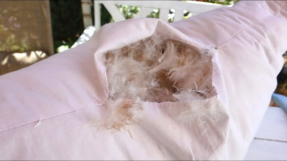 Lo que esconde tu almohada vieja: La verdad oculta que te provoca alergias matutinas