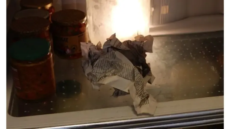 Mi abuela lo hacía hace 40 años: 3 cosas en el refrigerador que aún me alegran el día