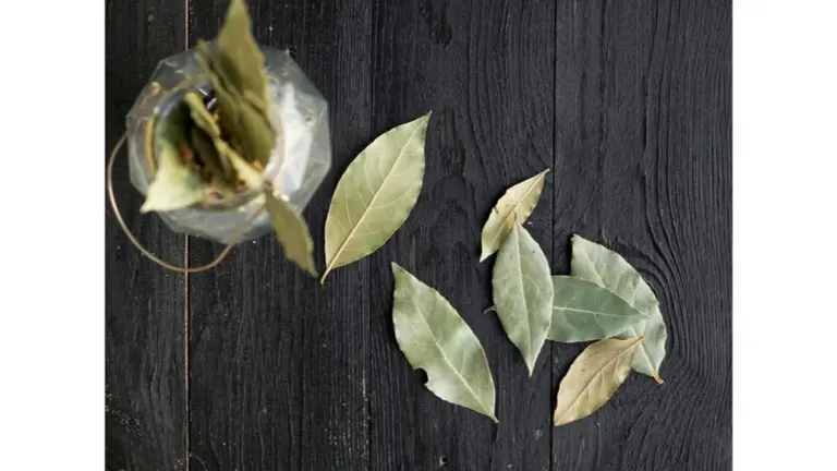Mi suegra trajo un truco de Hungría que transforma tu hogar: enciende esto y tu casa será pura paz