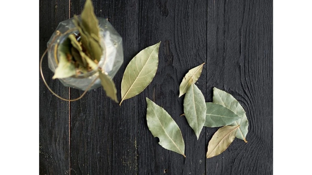 Mi suegra trajo un truco de Hungría que transforma tu hogar: enciende esto y tu casa será pura paz