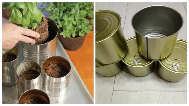 No tires esos frascos de mermelada: la jardinería secreta que te ahorrará dinero