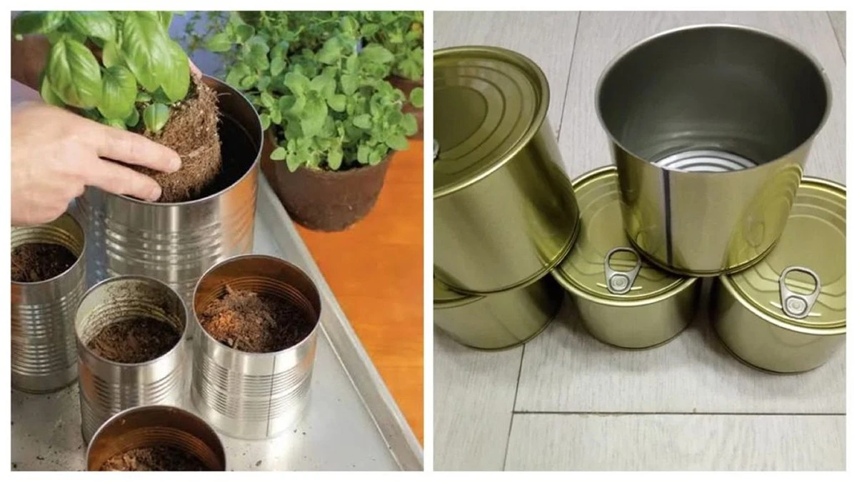 No tires esos frascos de mermelada: la jardinería secreta que te ahorrará dinero