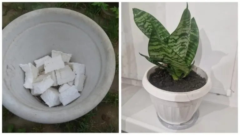 Poliespan atrapado en cajas: el 'oro' gratis que transforma tus macetas