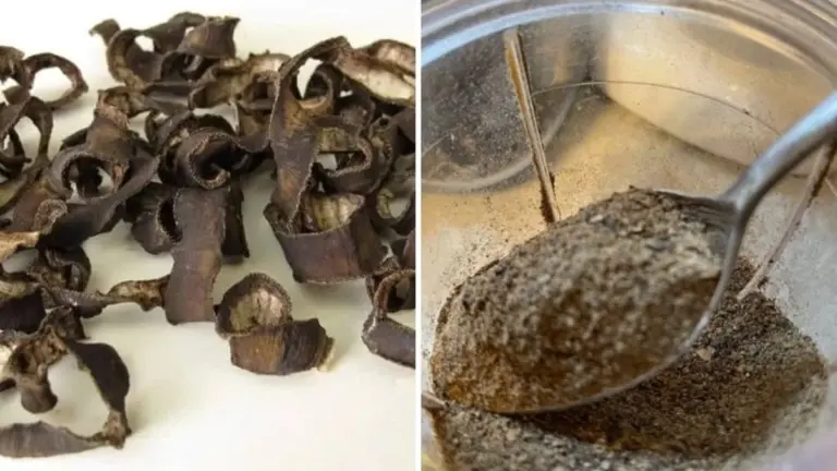 Por qué guardé cáscaras de plátano todo el invierno y qué pasó con mis tomates