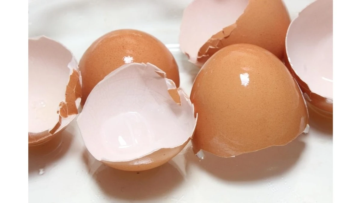 Por qué los chefs esconden cáscaras de huevo en su café matutino y cómo cambiará tu cocina