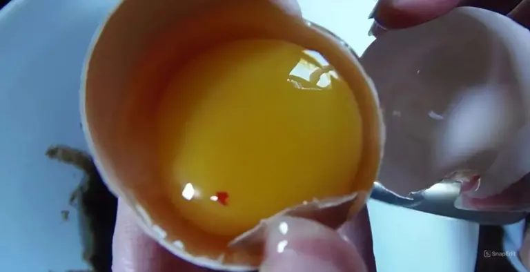 ¿Por qué tiras este huevo? La respuesta de mi prima médica cambió todo lo que sabía