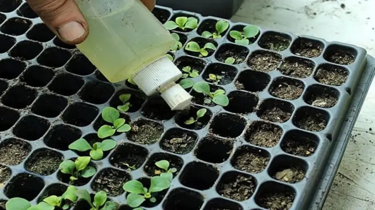 Por qué tu amigo que llora secó sus plántulas: el truco viral de vinagre que las mató