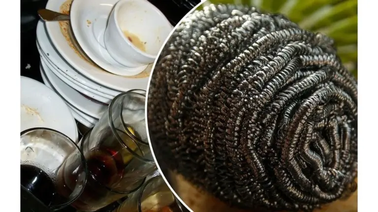 Por qué tu lavavajillas dura el doble: cambié la esponja por una "artificial" y no me arrepiento