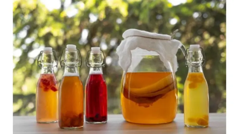 ¿Quiénes son los que *nunca* deberían beber kombucha? Descúbrelo antes de que sea tarde. - Escuelas Saludables